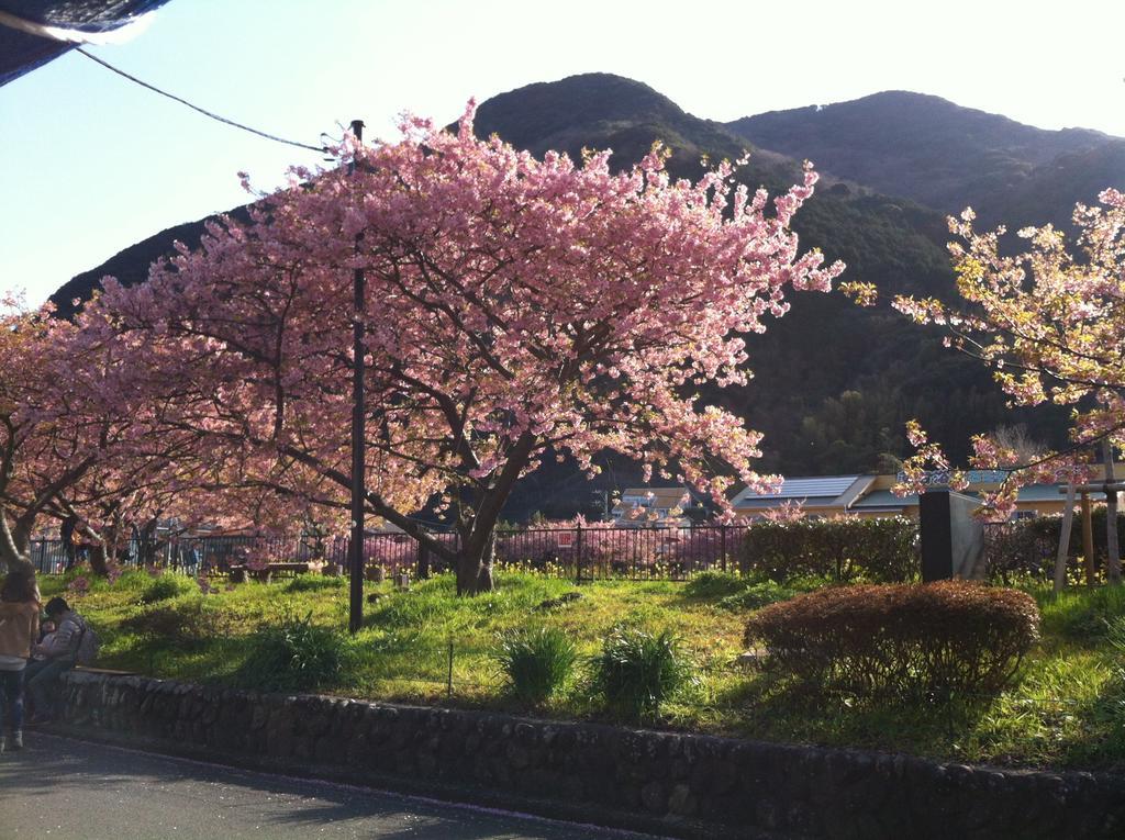 Hotel Hareya Shimoda  Exterior foto